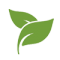 leaves leaves